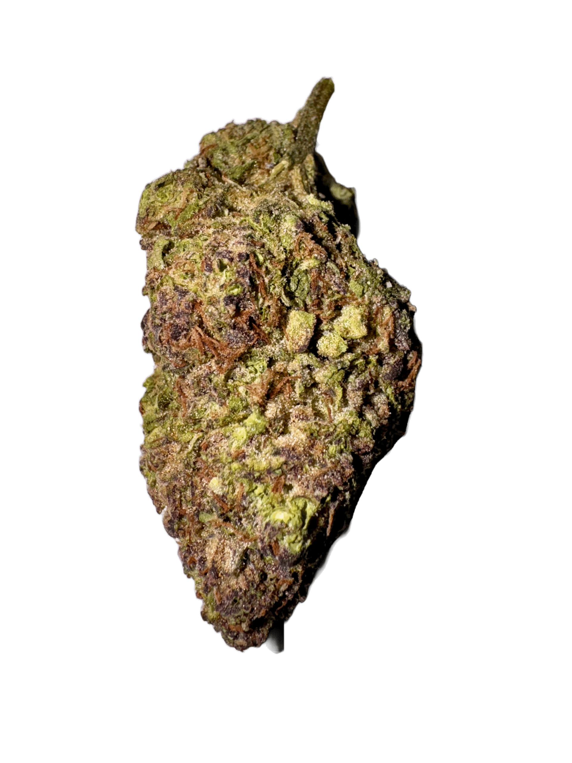 Gush-Mintz- hawaiian rain strain